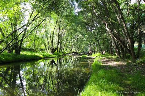 sendero molino del corcho|Senderos en la Sierra Norte de Sevilla